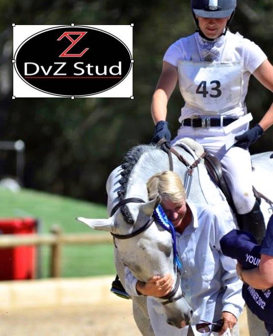 DVZ Stud Sporthorses